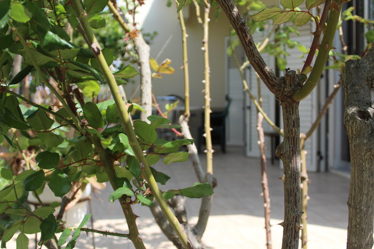 Costas Hostel Action Tseri Εξωτερικό φωτογραφία