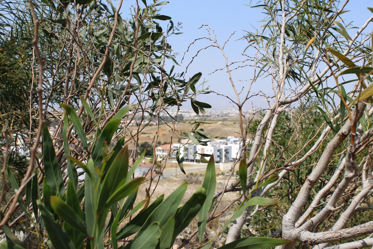 Costas Hostel Action Tseri Εξωτερικό φωτογραφία