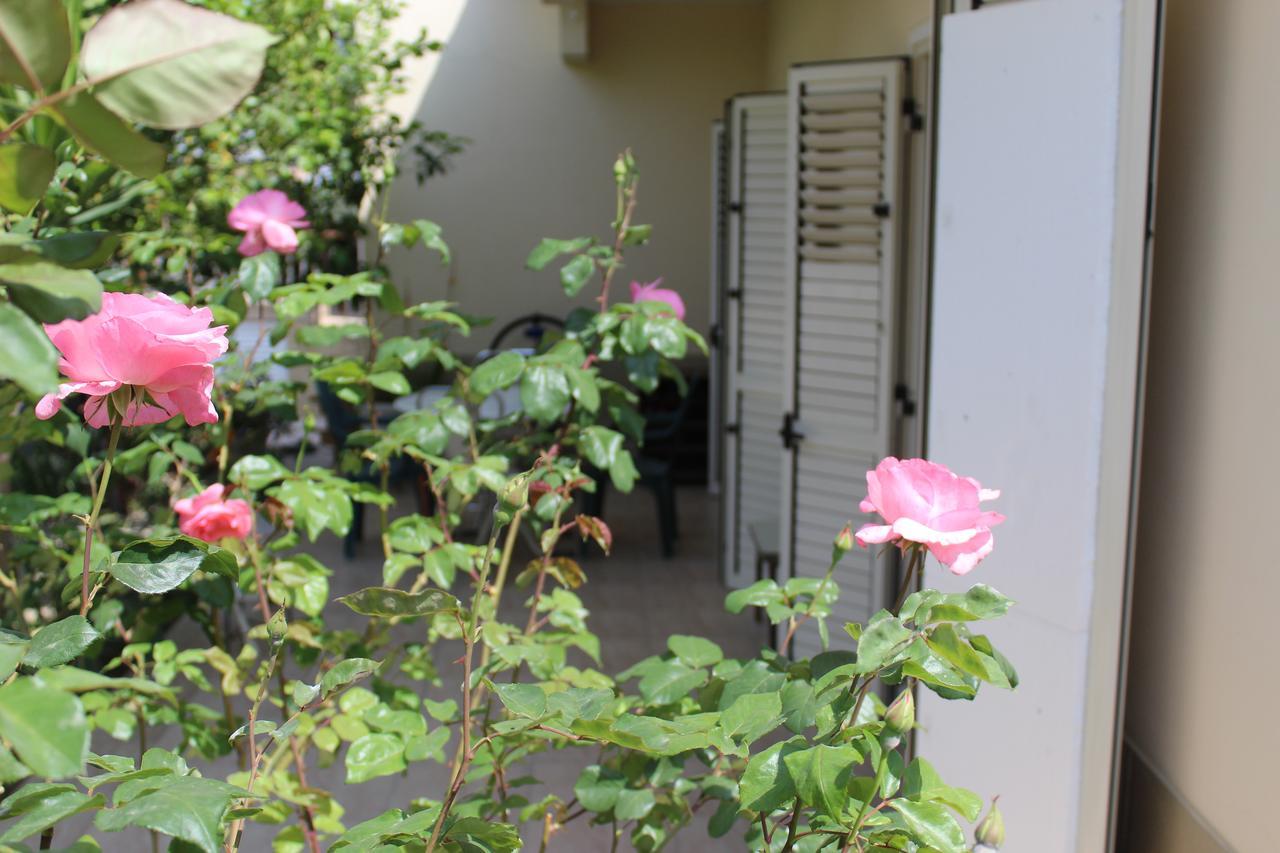 Costas Hostel Action Tseri Εξωτερικό φωτογραφία